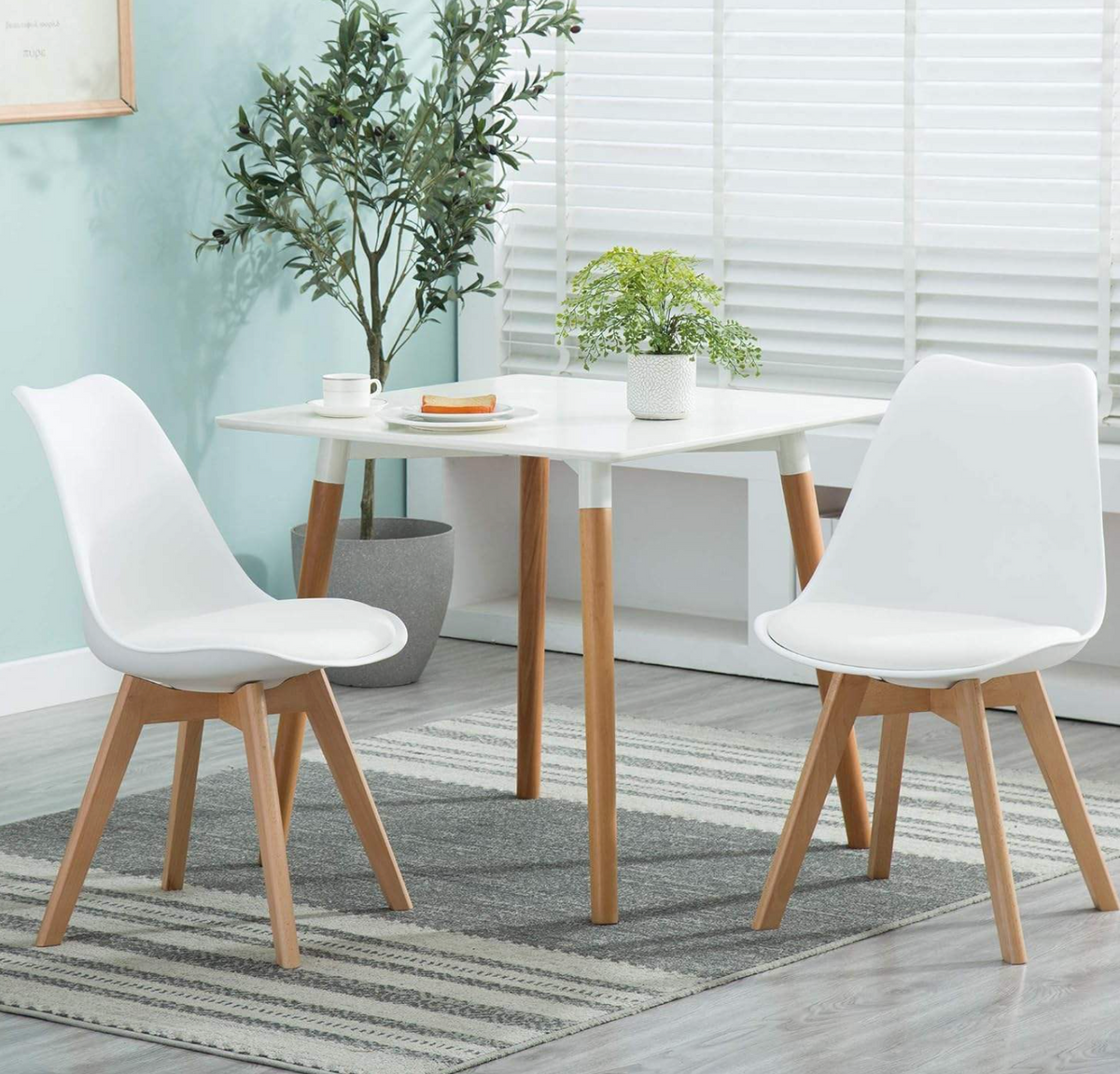 Modern Plastic Dining Chair with Wooden Legs
